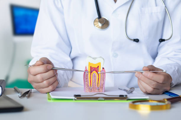 Best Emergency Root Canal Therapy in East Brooklyn, CT